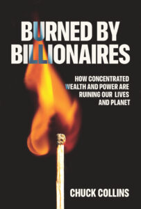 book cover featureing a close-up of a burning match on a black background; title and author in white block caps, except where flame is singeing a few letters
